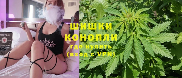 дмт Абаза