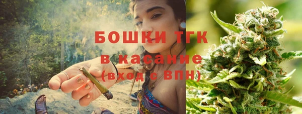 дмт Абаза