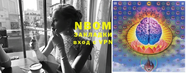 прущие грибы Абдулино