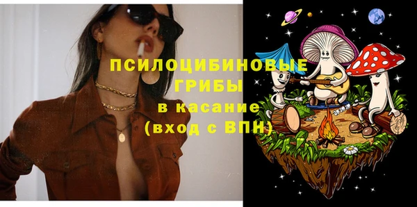 дмт Абаза
