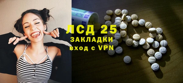 прущие грибы Абдулино