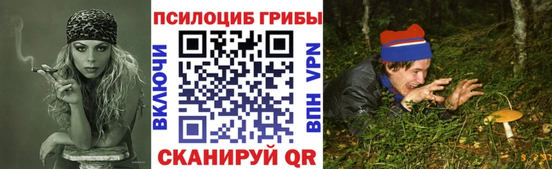 МЕГА зеркало  купить  сайты  Рославль  Галлюциногенные грибы MAGIC MUSHROOMS 